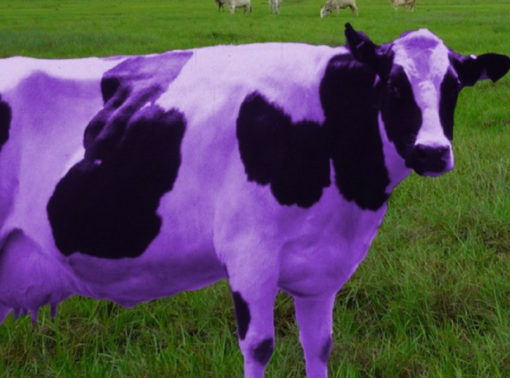 Give them something worth saying. Purple Cow